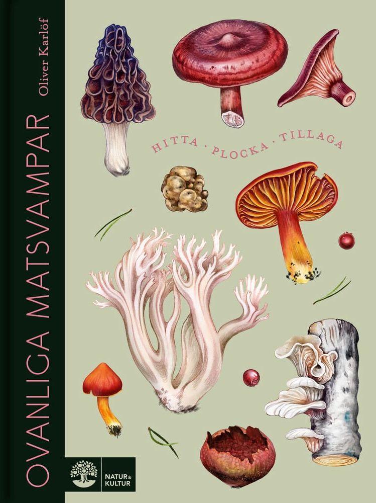 I dagarna släpptes ”Ovanliga matsvampar” av Oliver Karlöf, en matnörd som vandrat i svampskogarna i 30 år, med illustrationer av Saga Mariah Sandberg.