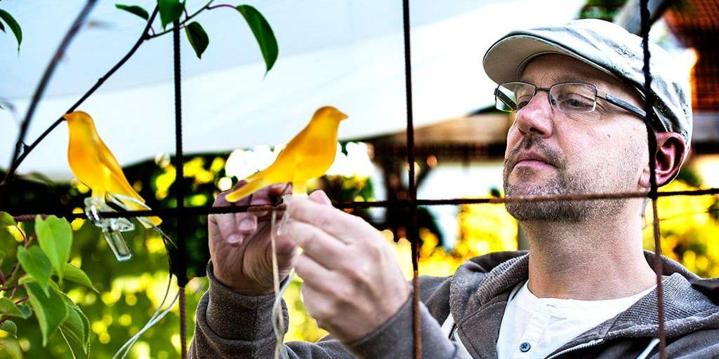 En av testet femmor, solcellsslingan med gula fåglar från Ikea, kan bli fin om man sätter den i rutorna i ett armeringsjärn där det också finns klätterväxter, visar ljusdesigner Torbjörn Eliasson.