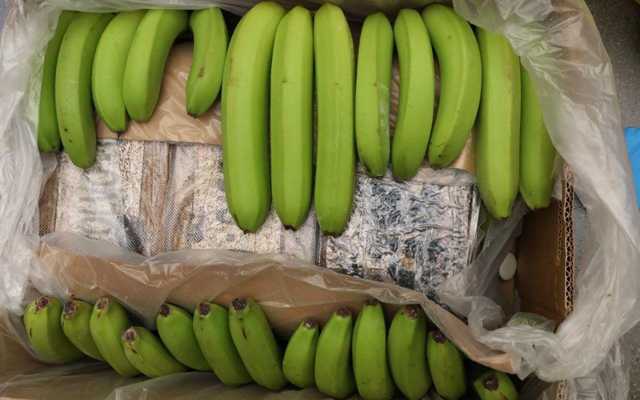 Banancontainrar från Ecuador har återkommande använts för kokainsmuggling. I mars togs ett jättebeslag på 800 kilo i Norge. Arkivbild.