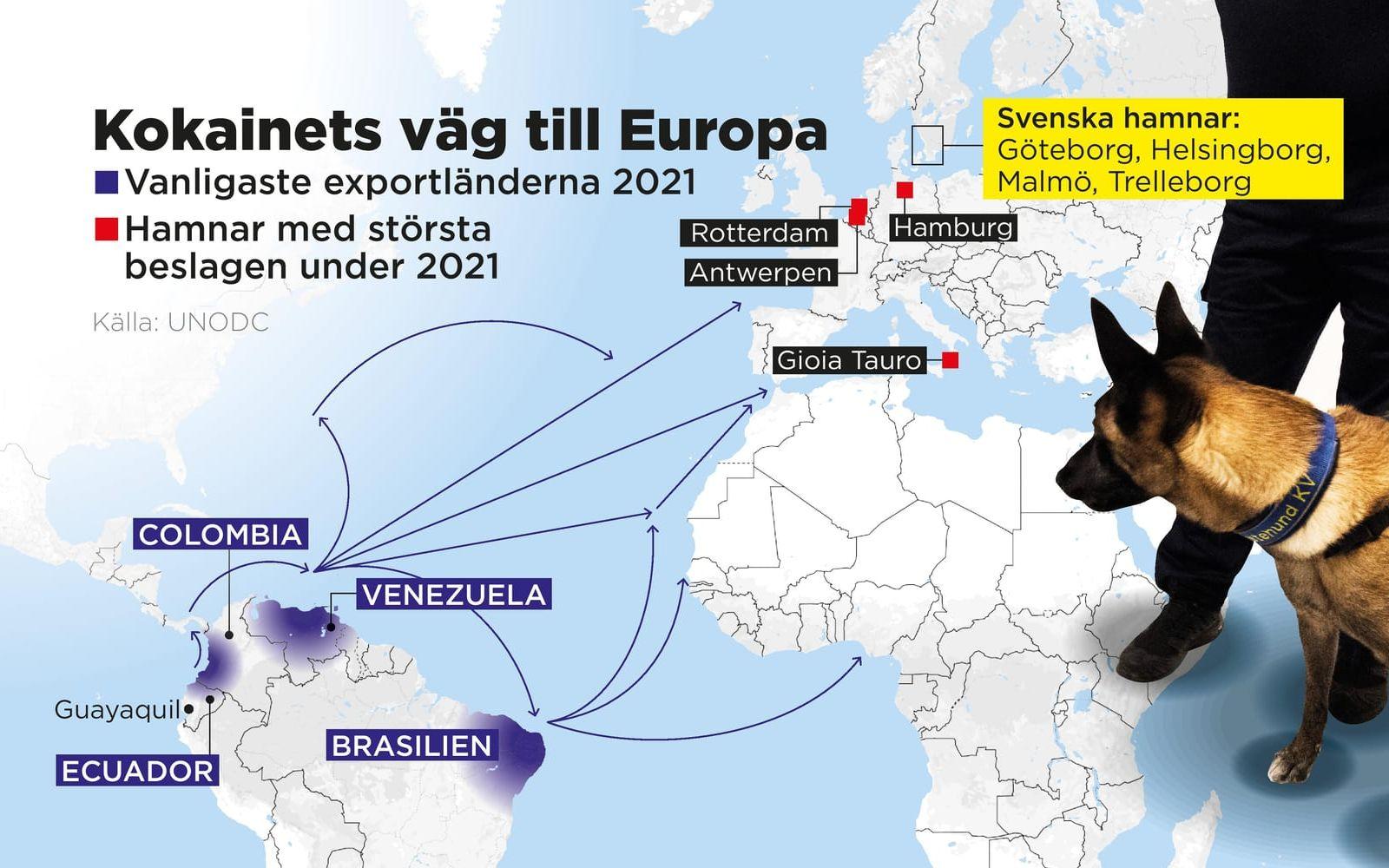 Vanligaste exportländerna från Sydamerika samt europeiska hamnar med största beslagen under 2021.