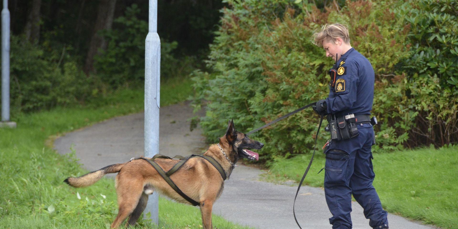En omfattande polisinsats ägde rum i Rannebergen under söndagskvällen. 