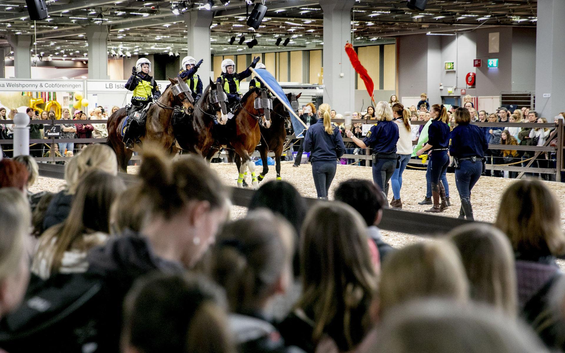 Polisrytteriet Göteborg visade hur de tränar sina hästar för att kunna bli polishästar.