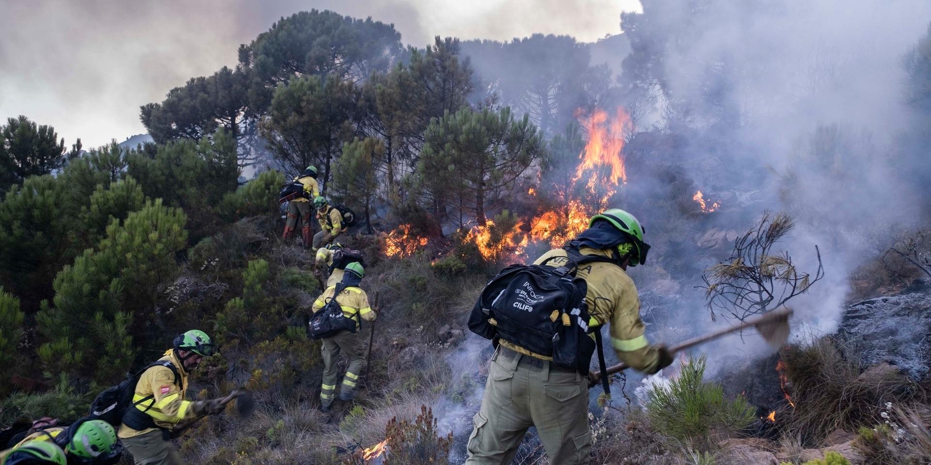 Räddningsinsats mot en skogsbrand