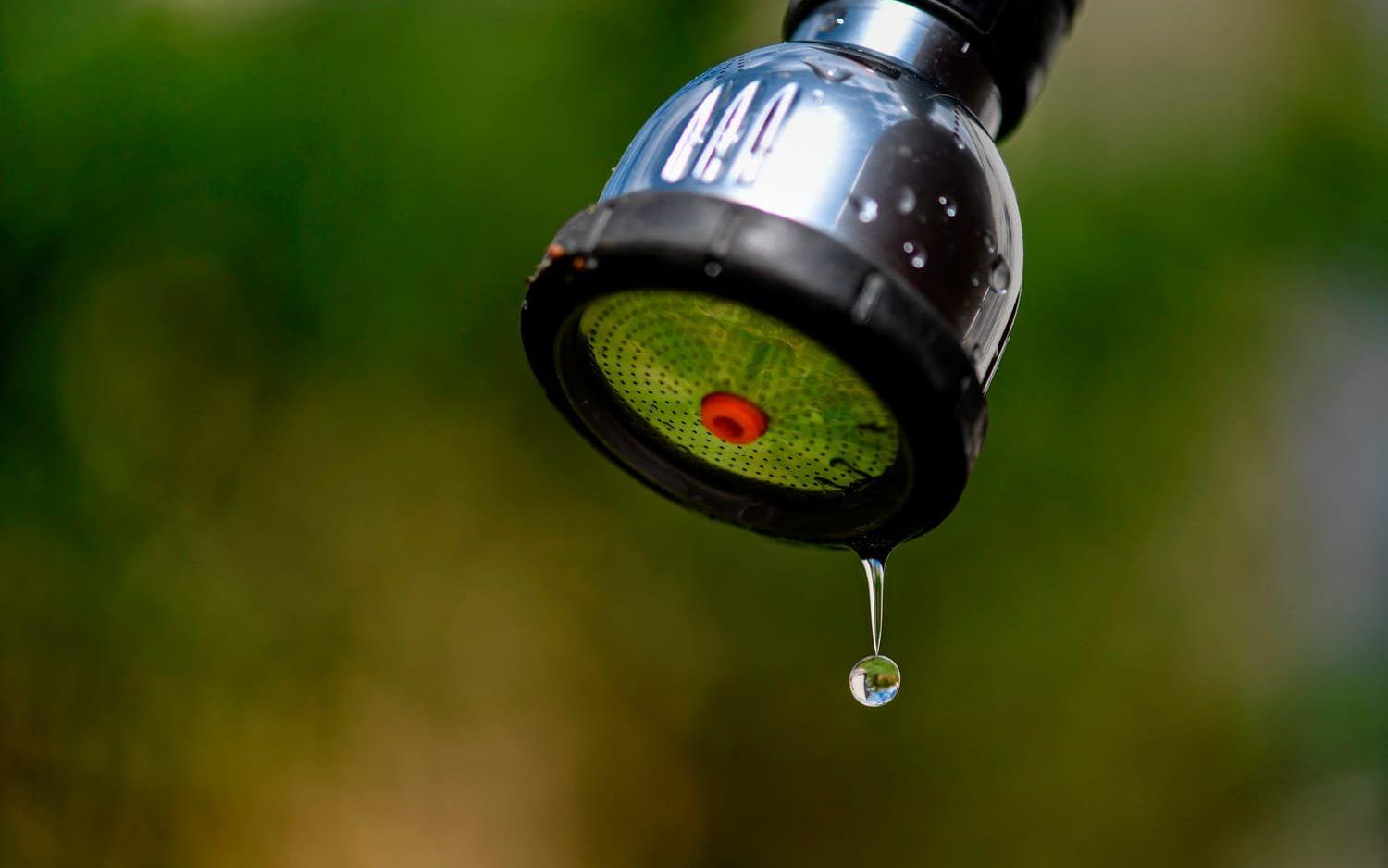 Droppar från en vattenslang som används vid bevattning. 