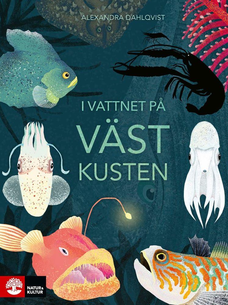 I Alexandra Dahlqvists ”I vattnet på västkusten” går det att förbluffas över säregna havsdjur som klorocka, virvelkrake och håbrand.