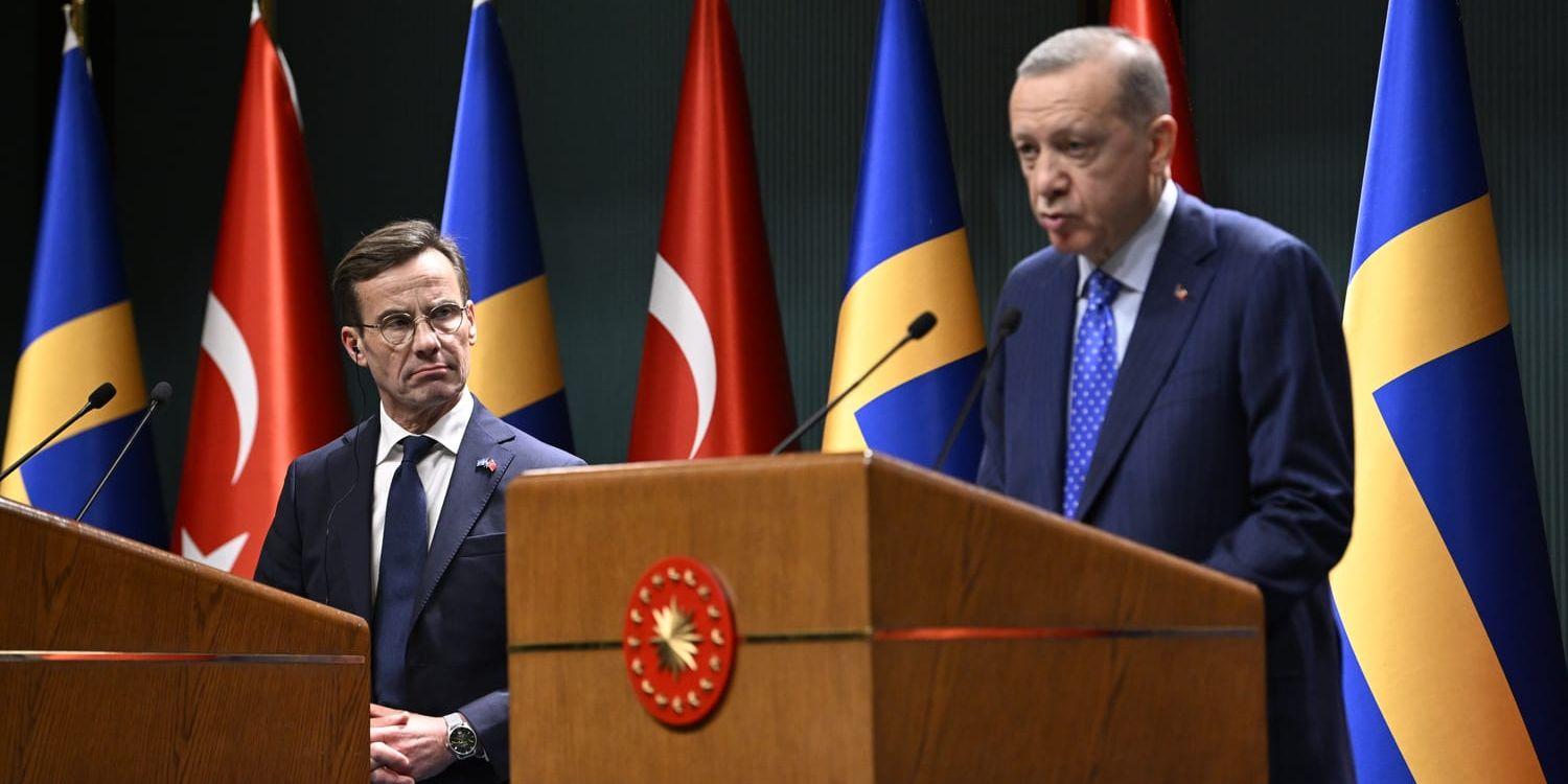 Sveriges statsminister Ulf Kristersson (M) och Turkiets president Recep Tayyip Erdogan håller en gemensam pressträff i Ankara.