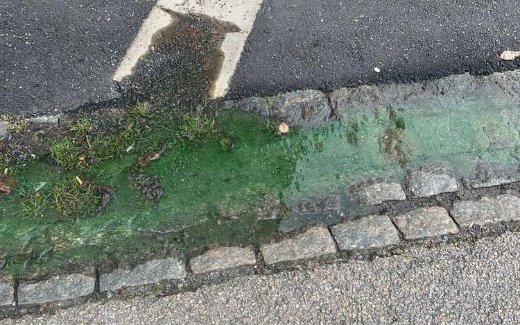 Grönt vatten rinner på gatan.
