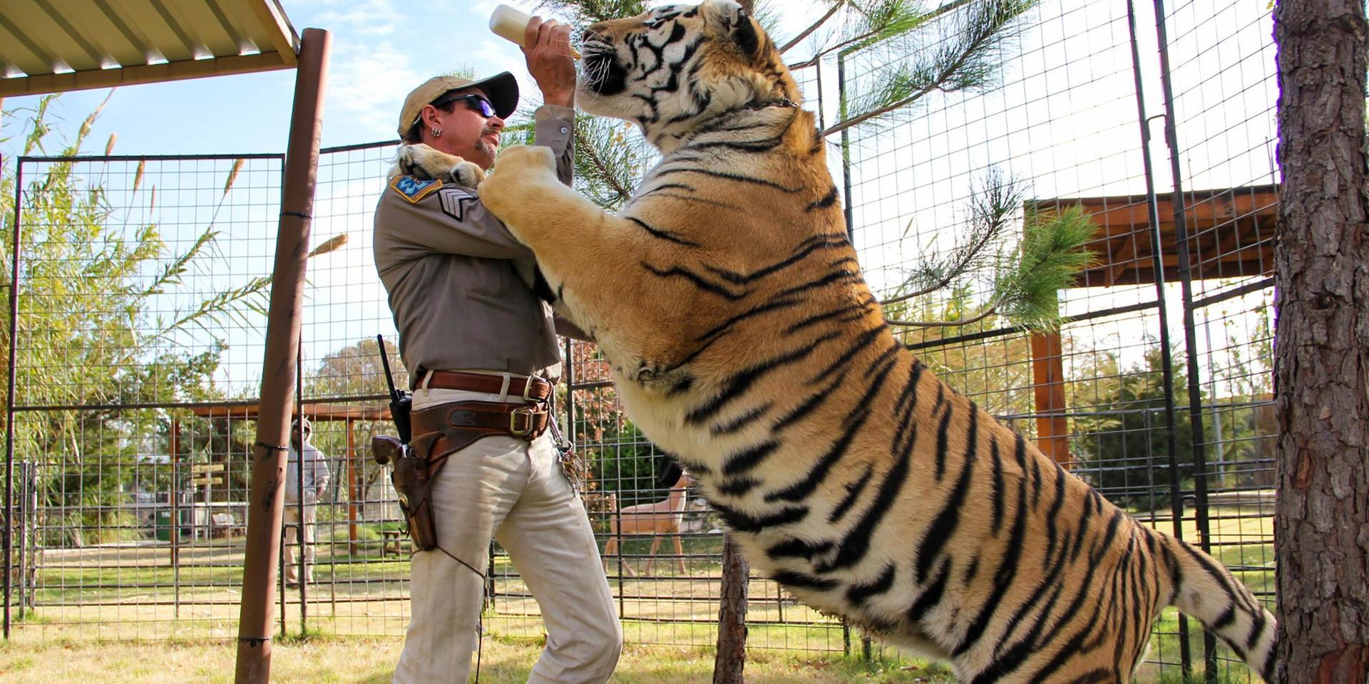 Det zoo som är skådeplats för Netflixserien 'Tiger king' stängs. Arkivbild. 