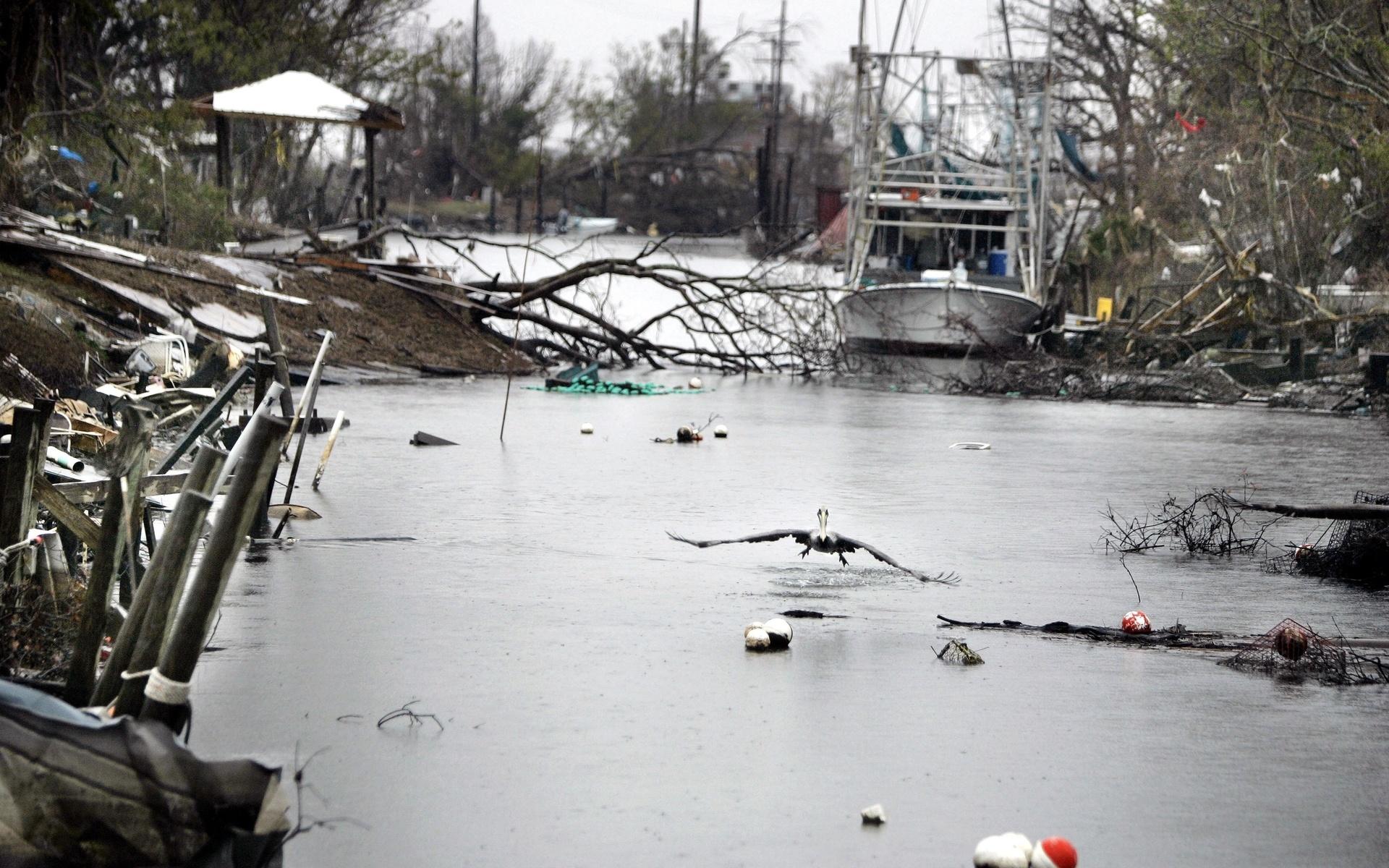 Orkanen Katrina, 2005.