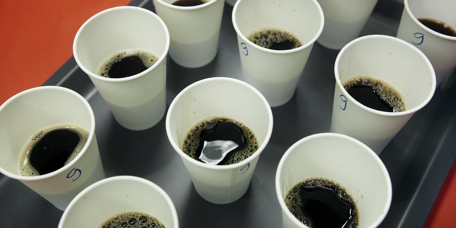 Kaffet blandades enligt de proportioner mellan pulver och vatten som angavs på burkarna. Testdeltagarna fick sedan lägga i mer kaffepulver om de tyckte att doseringen var för svag. Ingen tyckte att kaffet blev för starkt och behövde spädas med mer vatten.