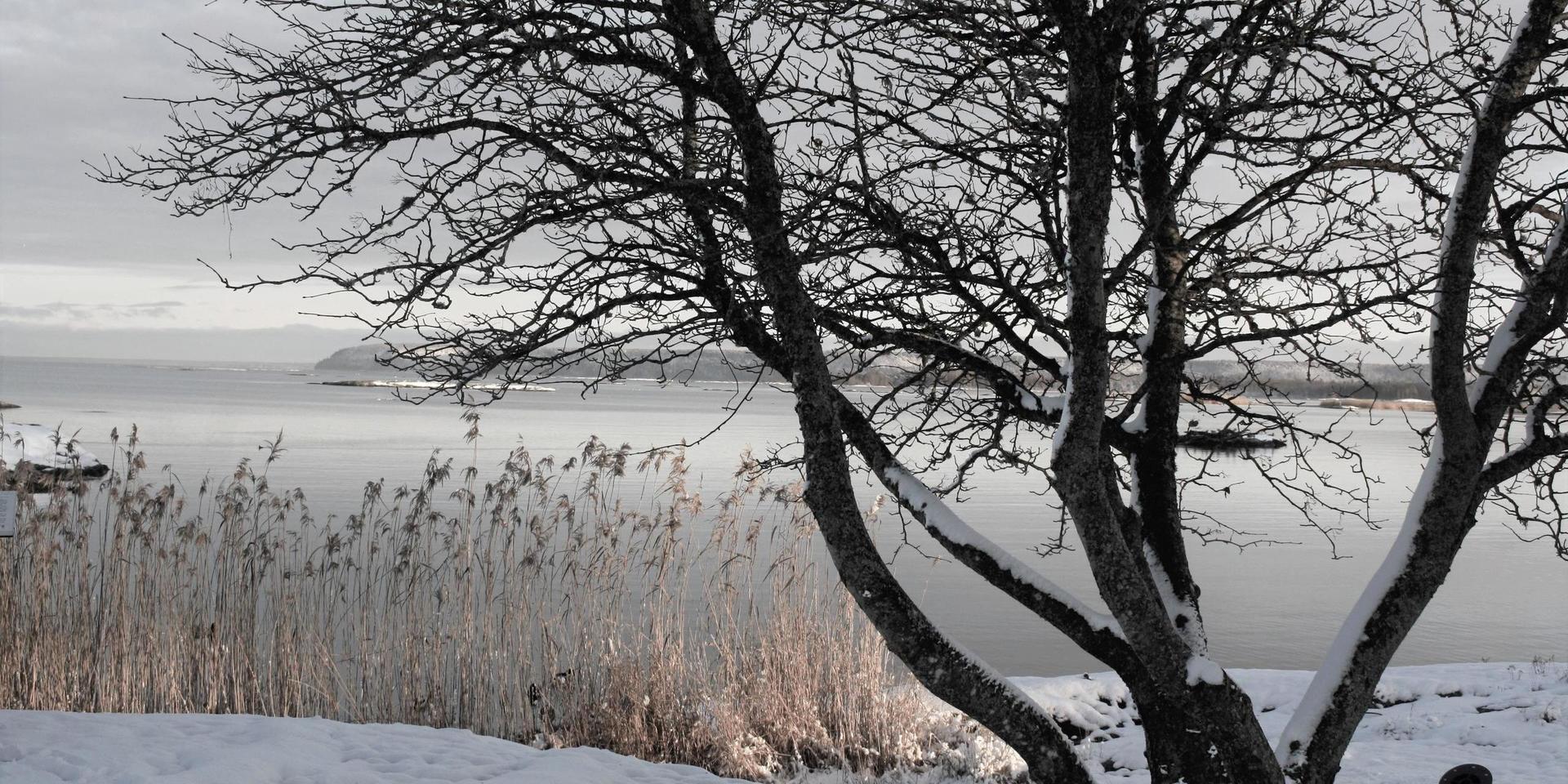 Vänern är en av de sjöar där forskarna har mätt mängden föroreningar och hittat bland annat nikotin, koffein och industrikemikalier.