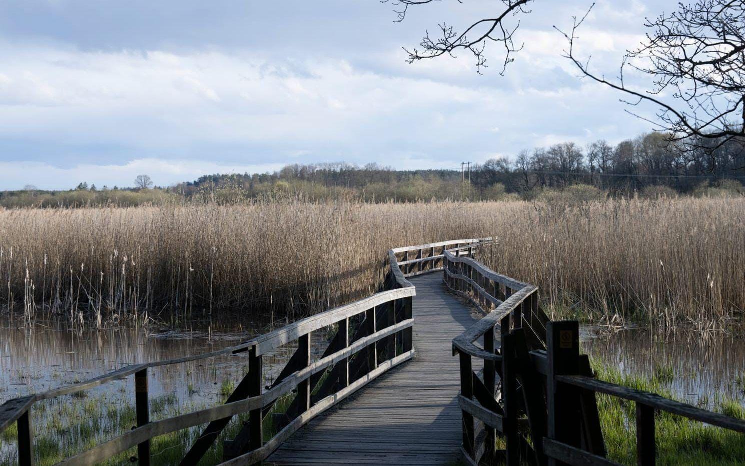 Mannen hittade hängd i naturreservatet Hjälstaviken utanför Enköping. 