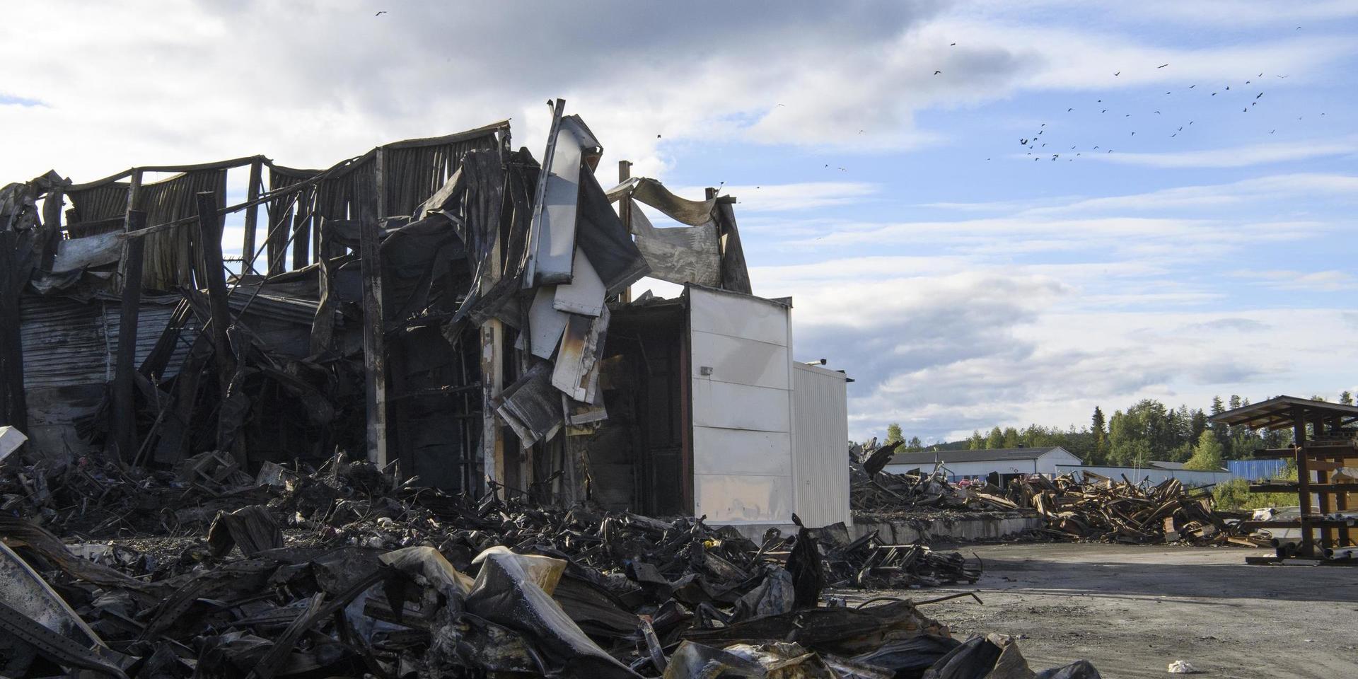 Fåglar kretsar över Polarbröds fabrik i Älvsbyn, en dryg vecka efter branden. 