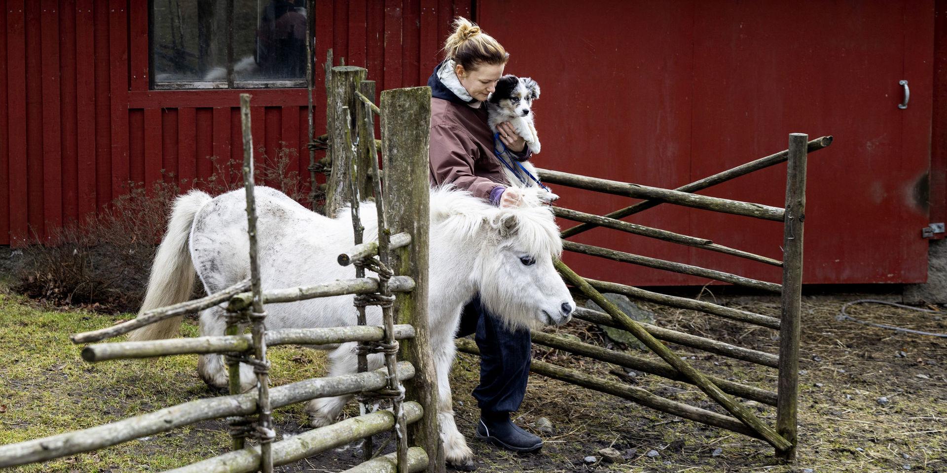 Caroline Nordin hemma på hästgården ihop med hästen Volle och hunden Chilli.