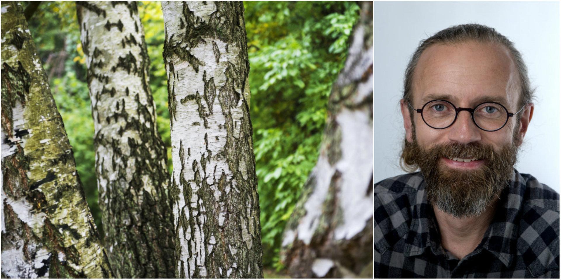 Vardagskrönikören Henrik Zetterberg var i björkarnas stad Umeå - och fick ett nedslående besked.