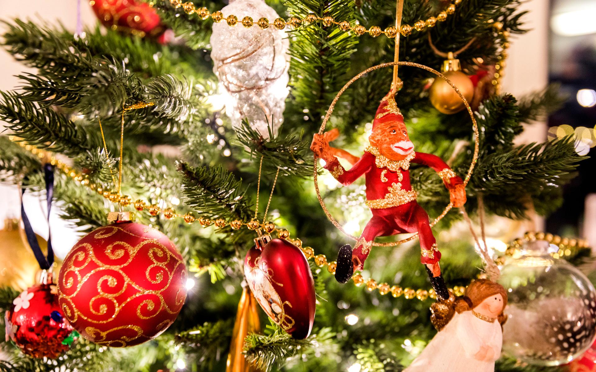 Den första julgranen ska ha myntats i Tyskland i början av 1500-talet.