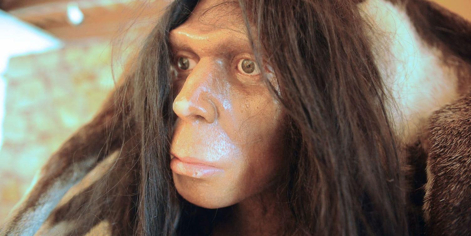NÄRA SLÄKTING. Neandertalarna framställdes fram tills nyligen som mörkhyade halvapor. 