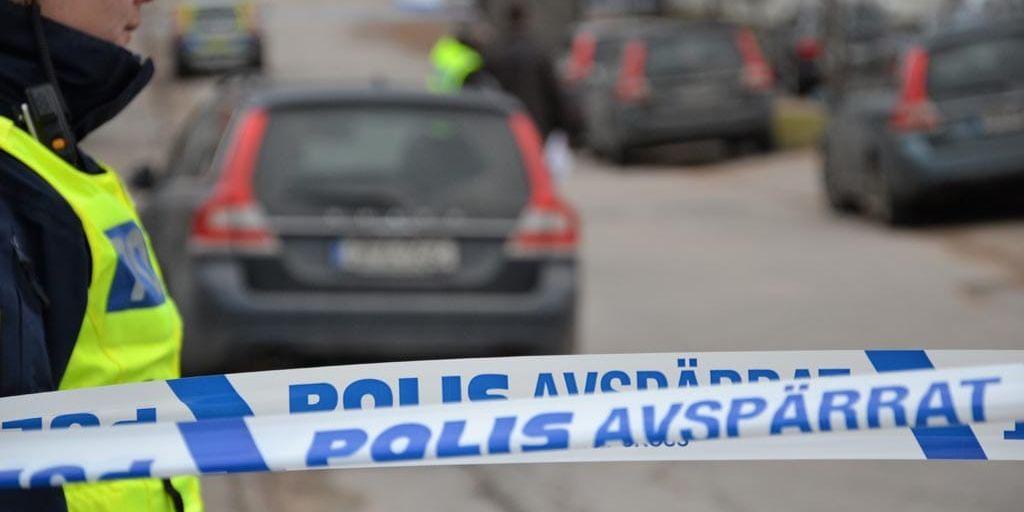 Under lördagen arbetade ett hundratal poliser med utredningen kring trippelmordet i Uddevalla.