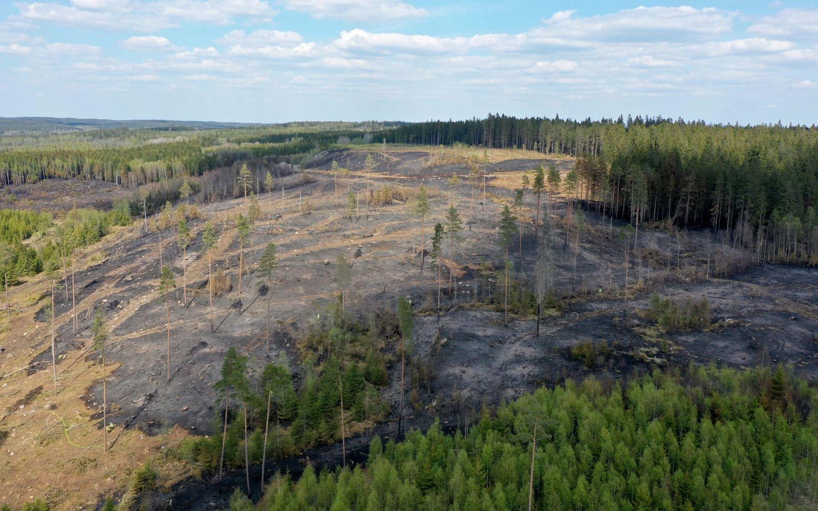 Drönarbilden visar ett stort område som är utbränt.