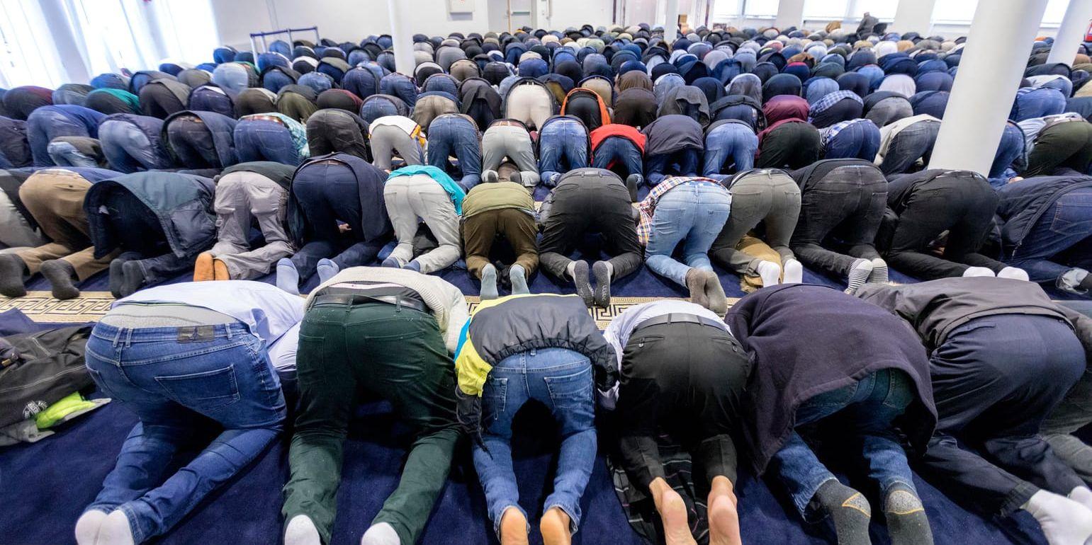 Muslimer under en fredagsbön i Islamic Cultural Centre i Oslo. En ny studie visar att muslimer födda i väst stödjer extremism i större utsträckning än muslimer som är uppvuxna på annat håll. Arkivbild.