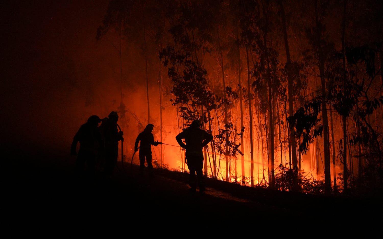Brandmän bekämpar en skogsbrand i Ponteceso i nordvästra Spanien den 3 augusti.