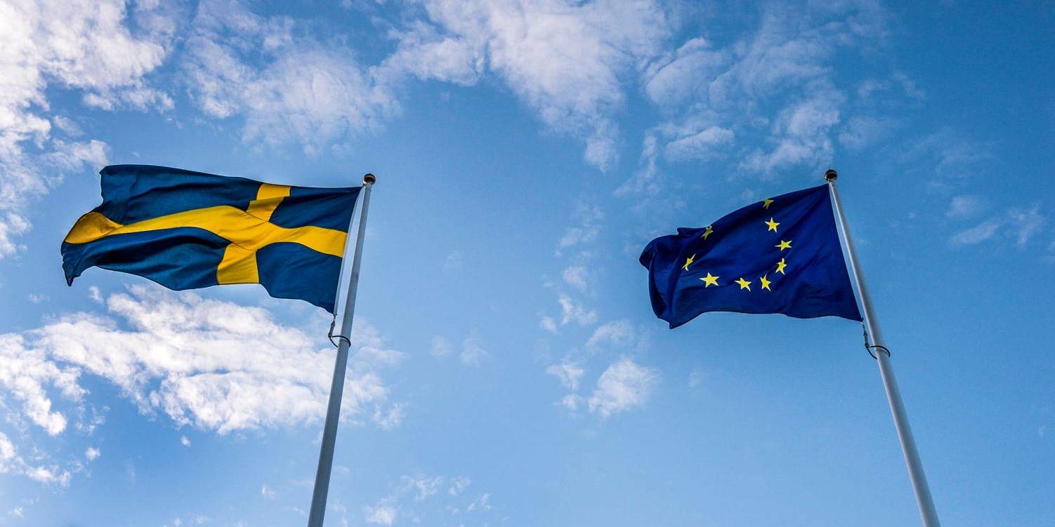Svenskarnas inställning till EU-medlemskapet är allt mer positivt. Arkivbild.