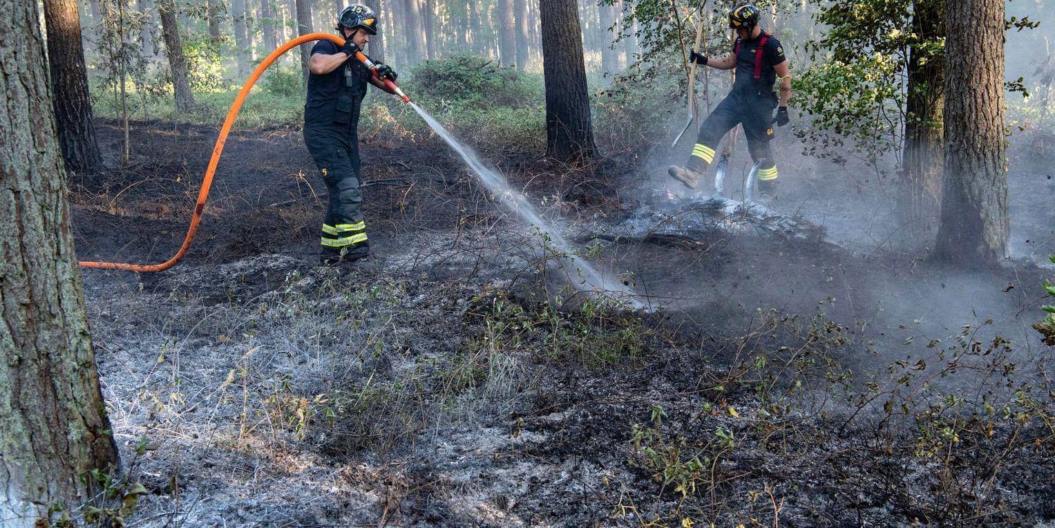 Räddningstjänsten släcker en av flera bränder i skogen utanför Åhus på måndagskvällen. Vad som orsakat bränderna är oklart men polis finns på plats.