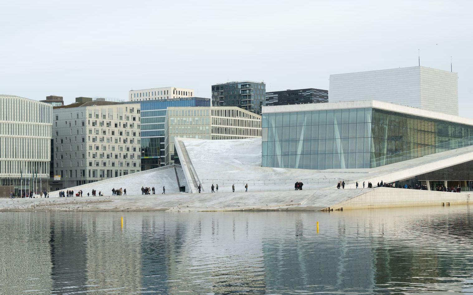 En man i 20-årsåldern misstänks ha överfallit flera kvinnor i Oslo och närliggande områden. Arkivbild.