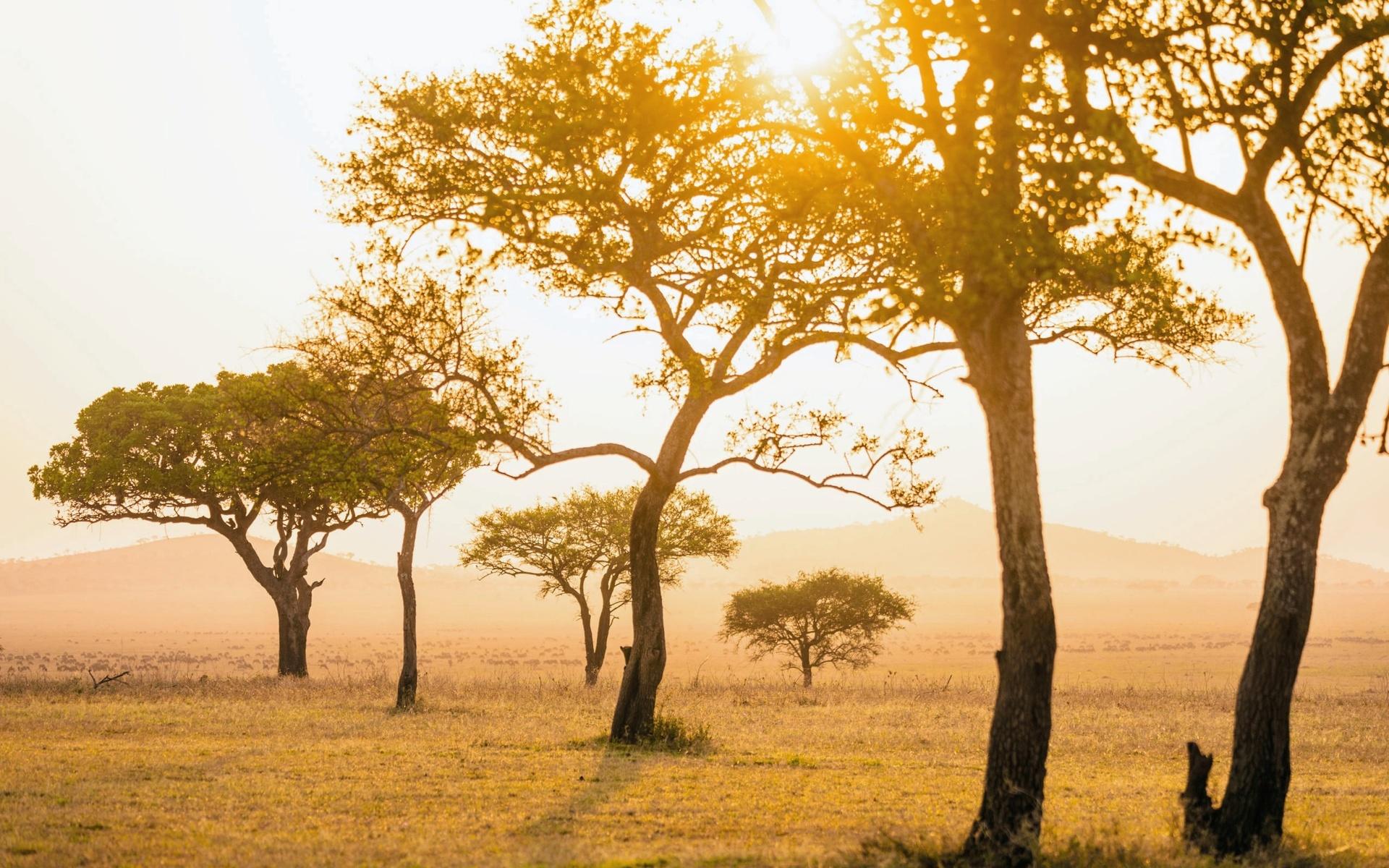 Reseföretaget Singita har 15 tältlodger i södra Afrika, ordet Singita betyder ungefär ”en plats för mirakel”. Välorganiserad och medveten safari anses i dag av många organisationer som en viktig del i arbetet med att skydda den vilda naturen och de vilda djurens habitat.