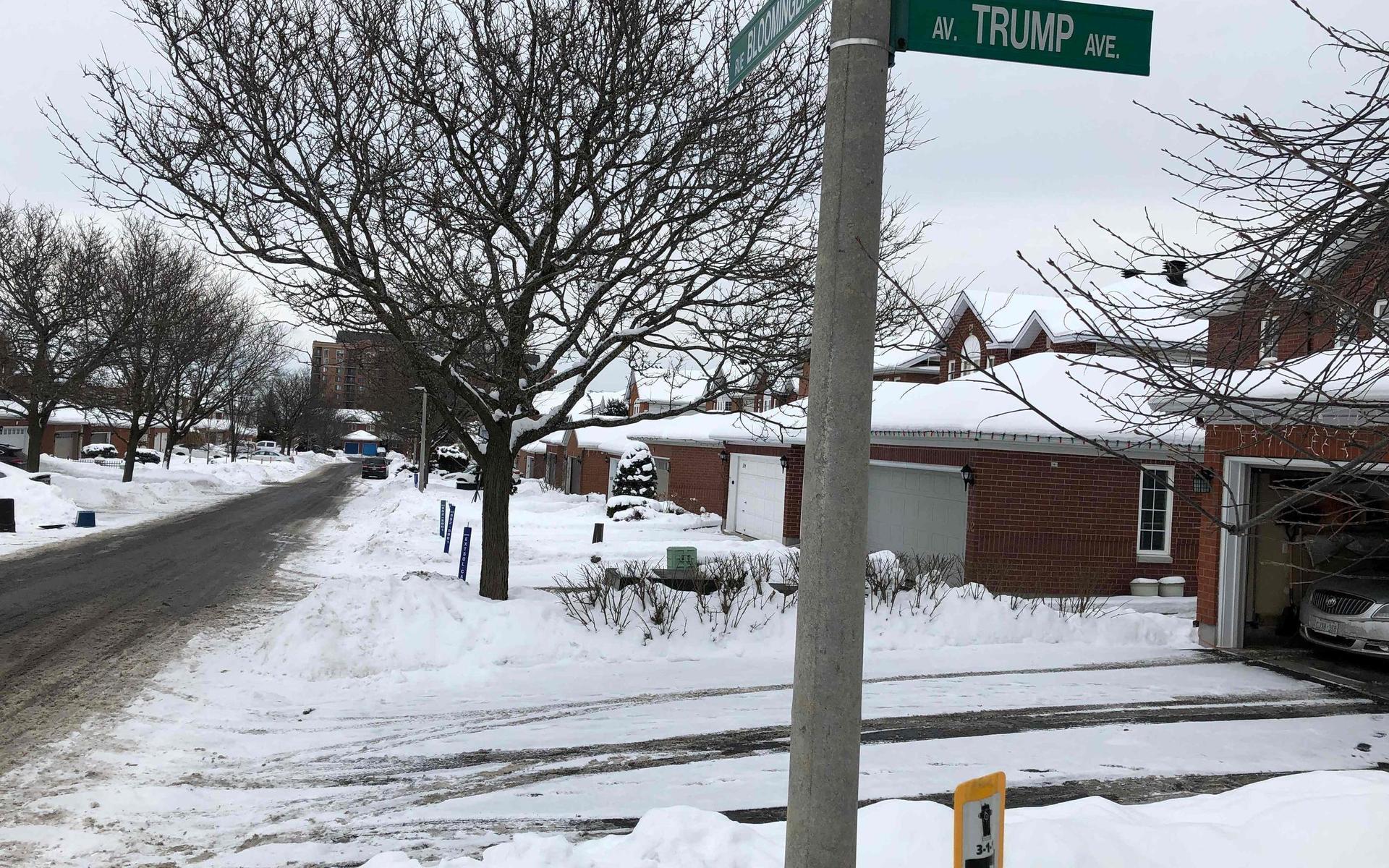 Trump Avenue i Ottawa i Kanada, där flera invånare inte är helnöjda över namnet. Bild från tidigare i veckan.