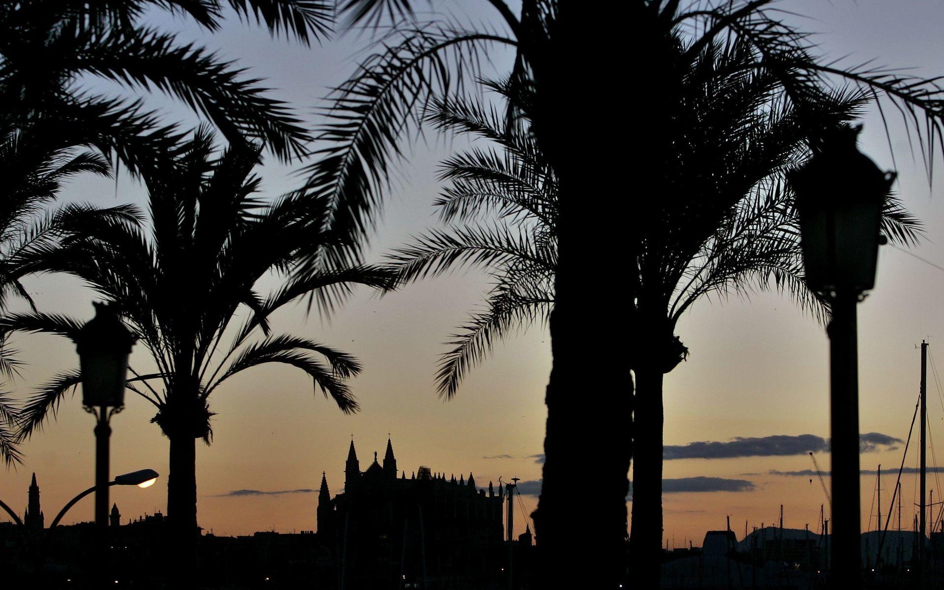 Nu blir det dryga böter för turister som inte kan uppföra sig i Palma, Mallorca.