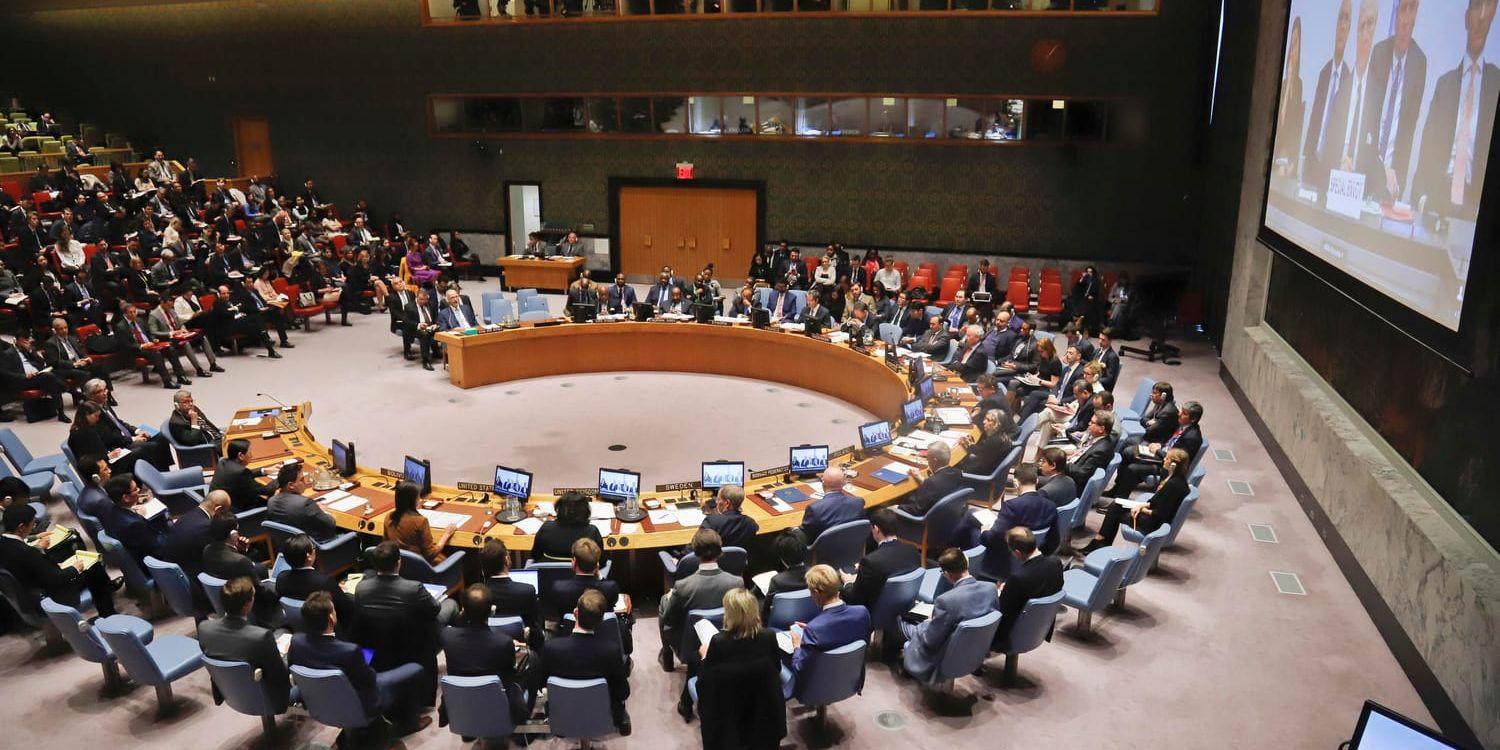 FN:s säkerhetsråds sammanträde i måndags.