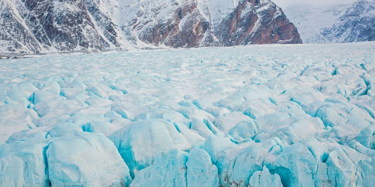 Iskärnor som hämtats från kanadensiska Arktis smälte när en frys på University of Alberta plötsligt slutade att fungera. Arkivbild.
