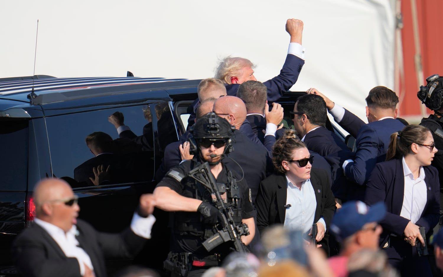 Republikanen och expresidenten Donald Trump förs in i en bil efter mordförsöket mot honom under ett politiskt massmöte i Butler i Pennsylvania.