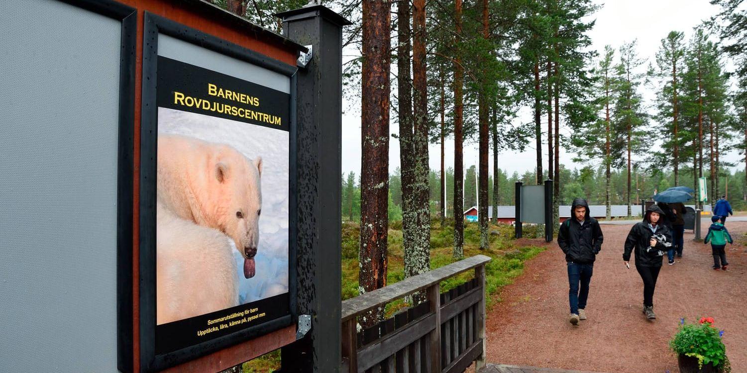 Orsa Rovdjurspark har ändrat rutinerna sedan djurskötaren dödades av en björn. Arkivbild.