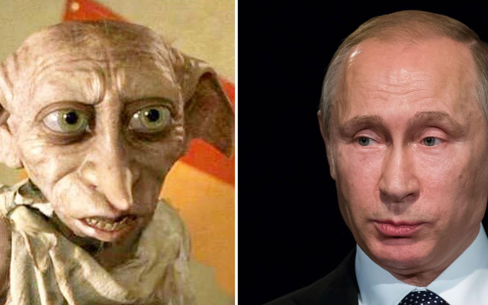 I samma tidning jämförde han Rysslands president Vladimir Putin vid husalfen Dobby från Harry Potter, med tillägget att han dessutom är en hänsynslös, manipulativ tyrann.