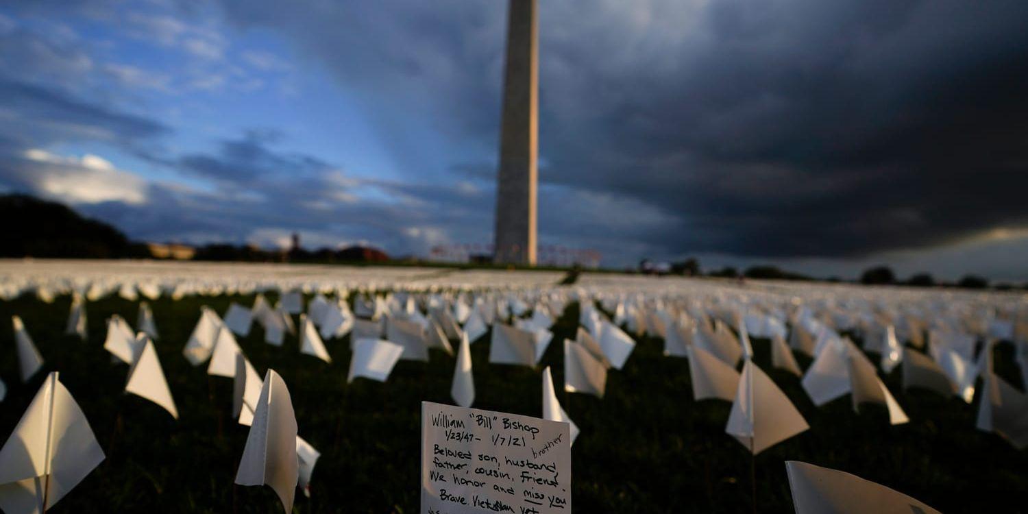 Över 630 000 vita flaggor har placerats ut vid Washingtonmonumentet i Washington DC för att hedra offren för covid-19 i USA. Bakom installationen står konstnären Suzanne Brennan Firstenberg, som döpt den 'In America: Remember'.