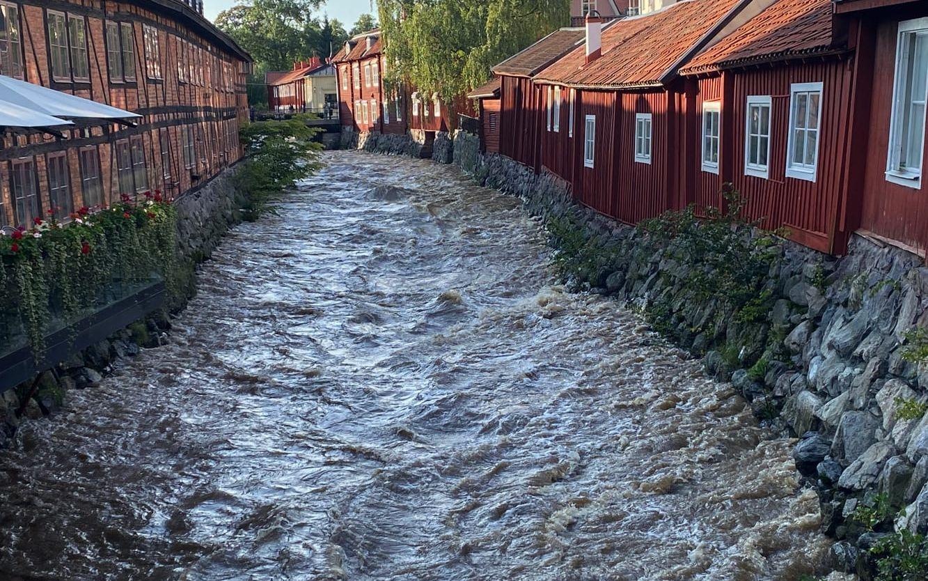 Efter kraftigt regn är vattenståndet i Svartån i centrala Västerås ovanligt högt.
