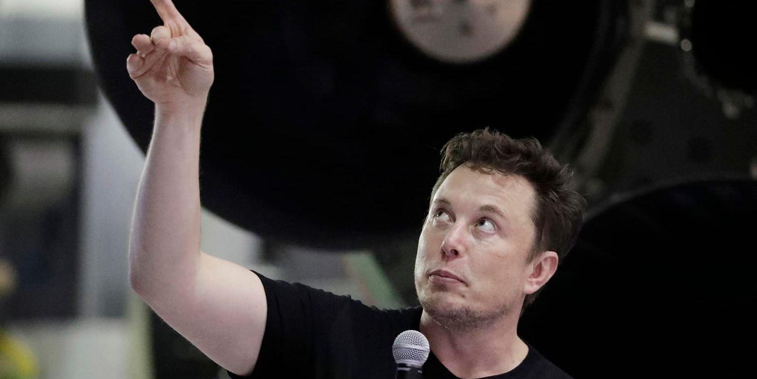 Aktiekursen rusade sedan Elon Musk gått med på att lämna ordförandeposten i Tesla. Arkivbild.