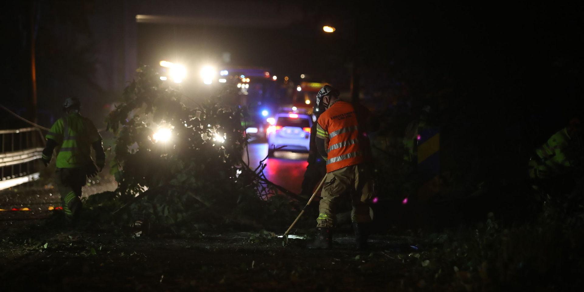 Vid flera platser i Göteborgsregionen har träd fällts av stormen Knud, här över en bilväg. OBS! Bilden är från ett annat tillfälle under stormnatten, inte från då mannen skadades. 