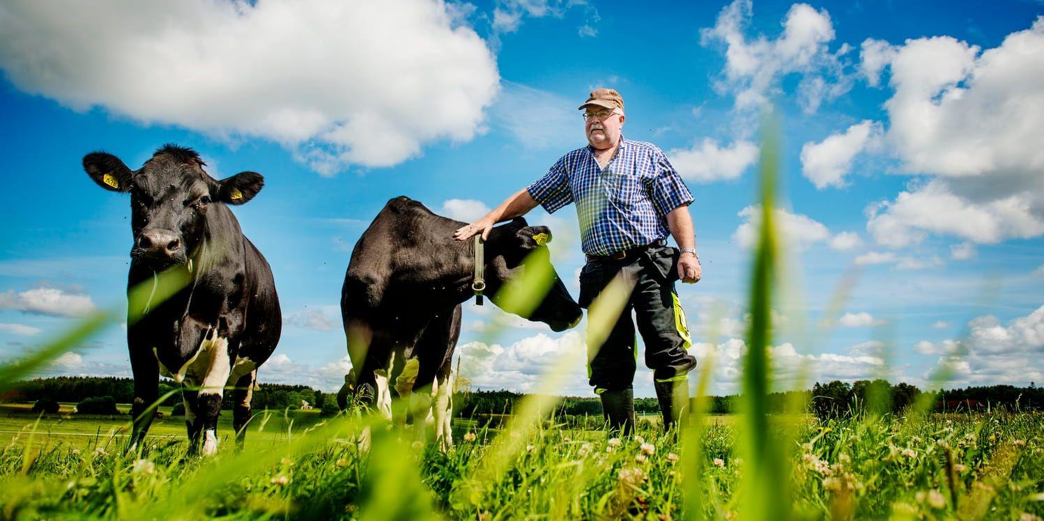 Kent Lundberg och hans fru Siri var nära att lägga ner på grund av de låga mjölkpriserna. Att starta ett eget mejeri på gården har räddat mjölkbönderna.