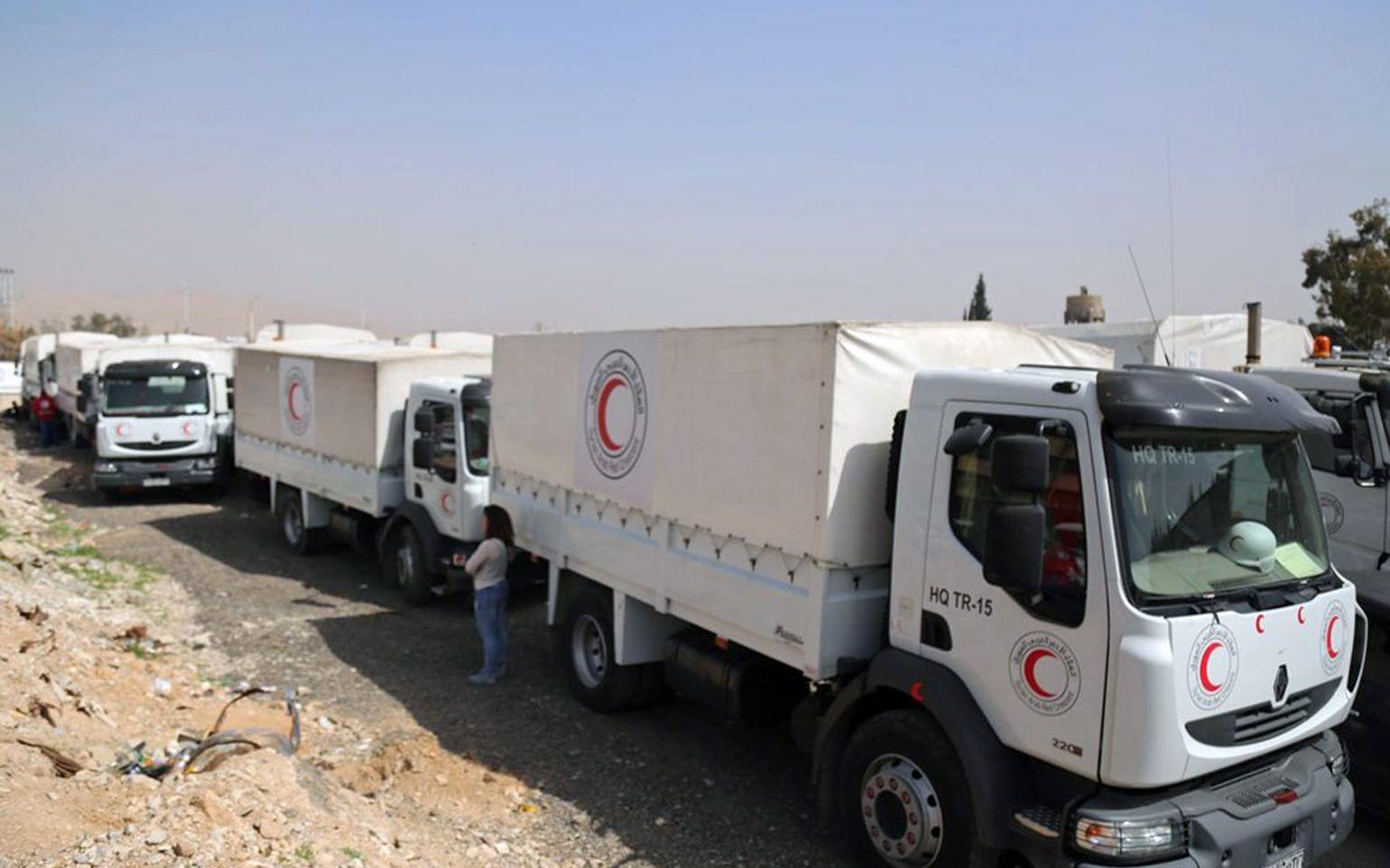 Total 46 lastbilar tog sig in i Douma. 