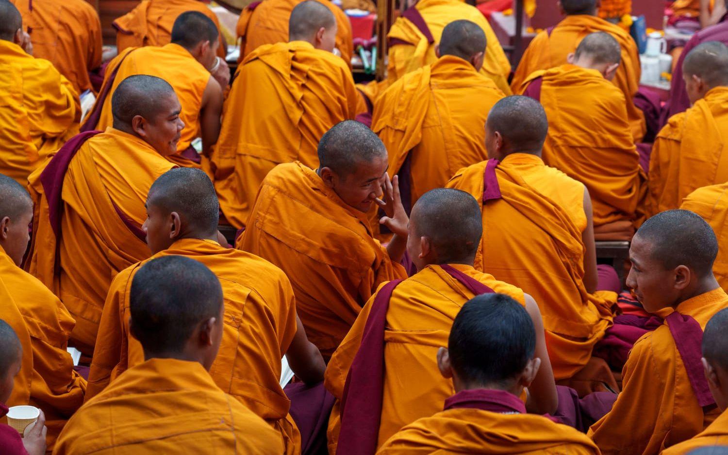 Buddhistiska munkar. Bilden är från ett annat sammanhang. Arkivbild.