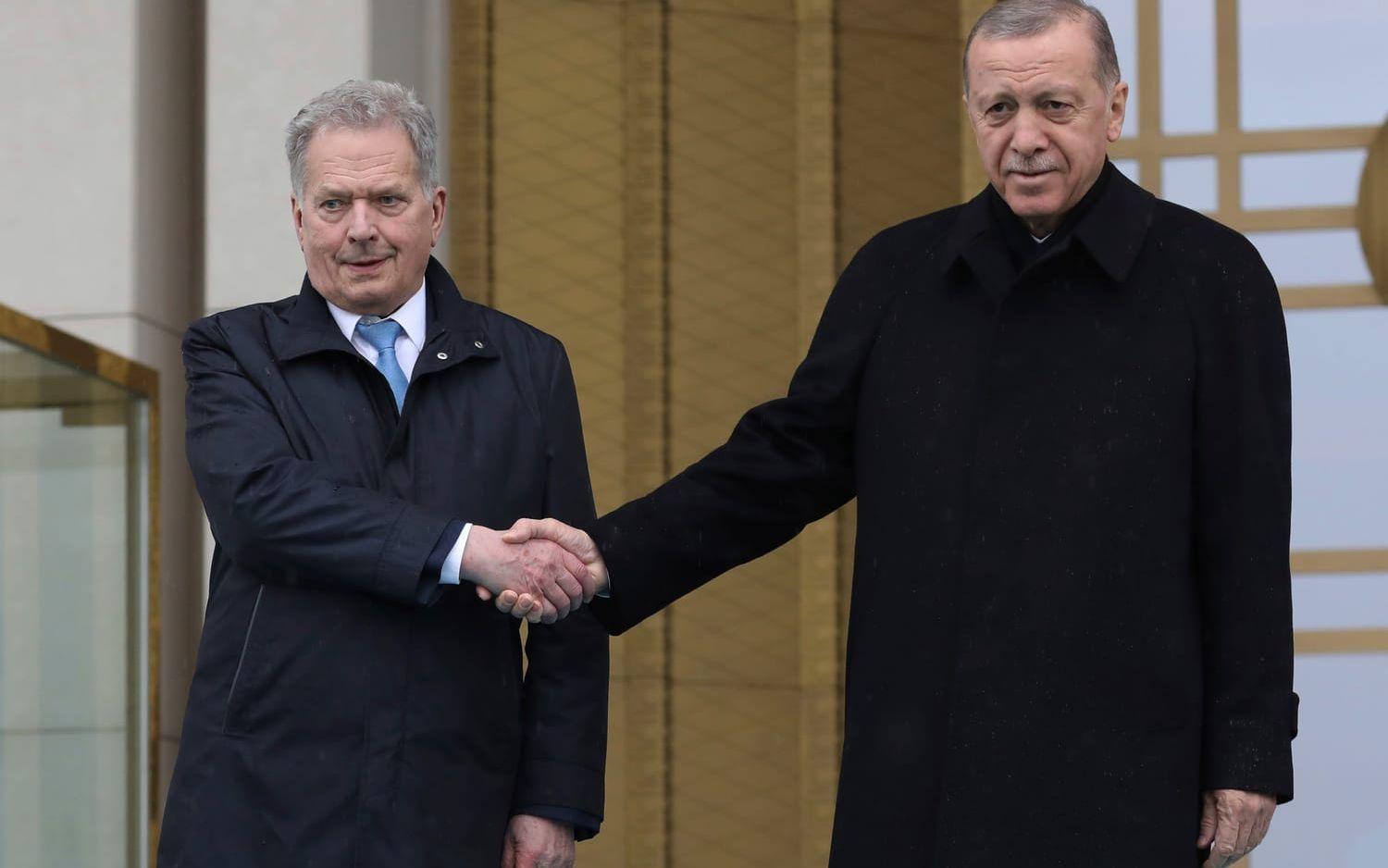 Finlands och Turkiets presidenter Sauli Niinistö och Recep Tayyip Erdogan skakar hand i Ankara under fredagen.