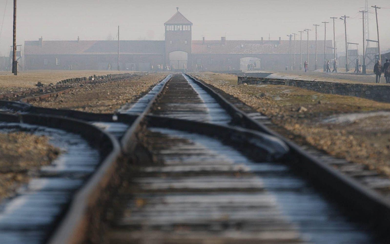 Järnvägen till nazisternas dödsläger i Auschwitz-Birkenau. ”Förintelsen – som alltså lyser med sin frånvaro i Arpis analys – var en konkret konsekvens av en genomförd ideologi”, skriver Hynek Pallas.