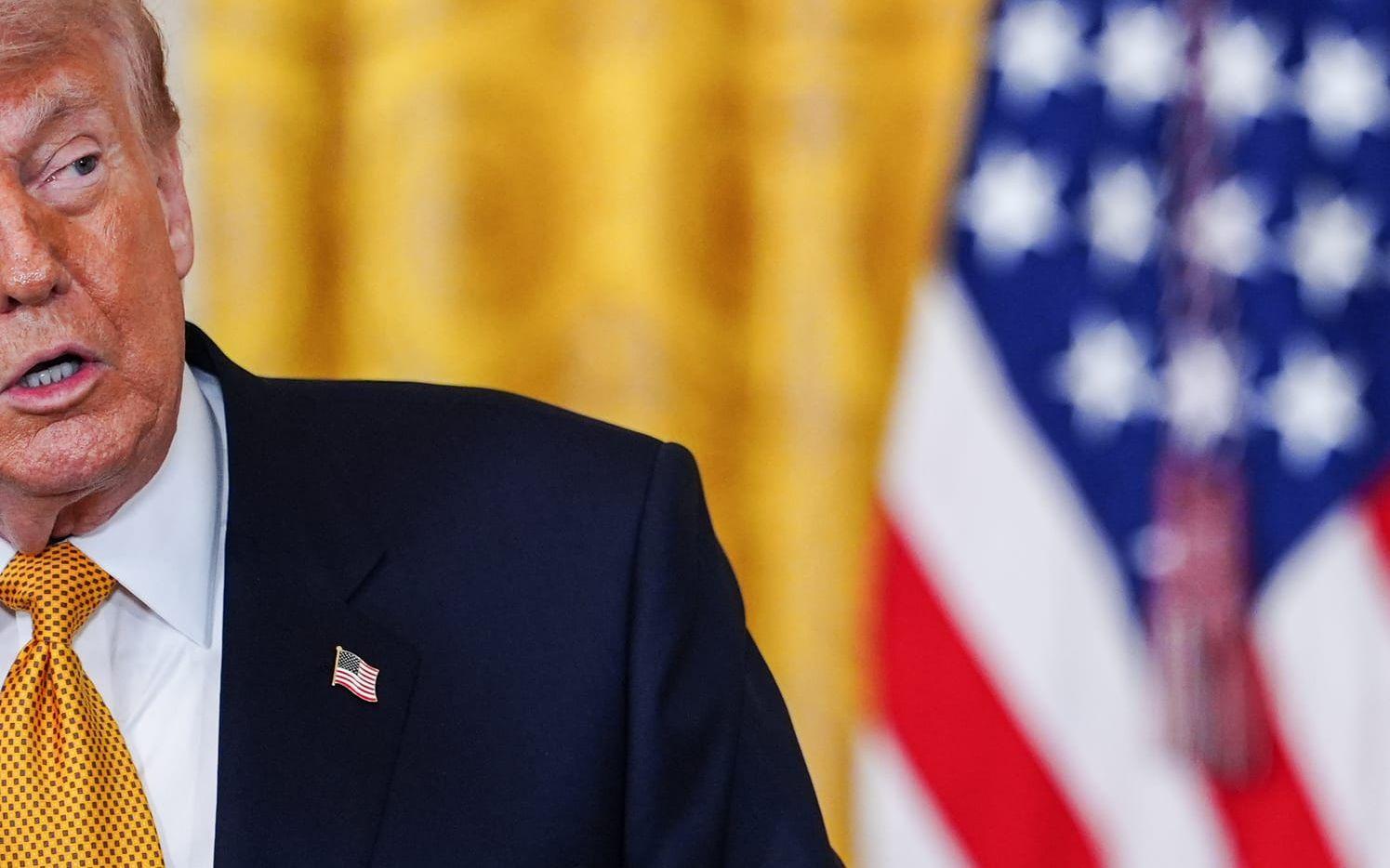 President Donald Trump. Arkivbild.