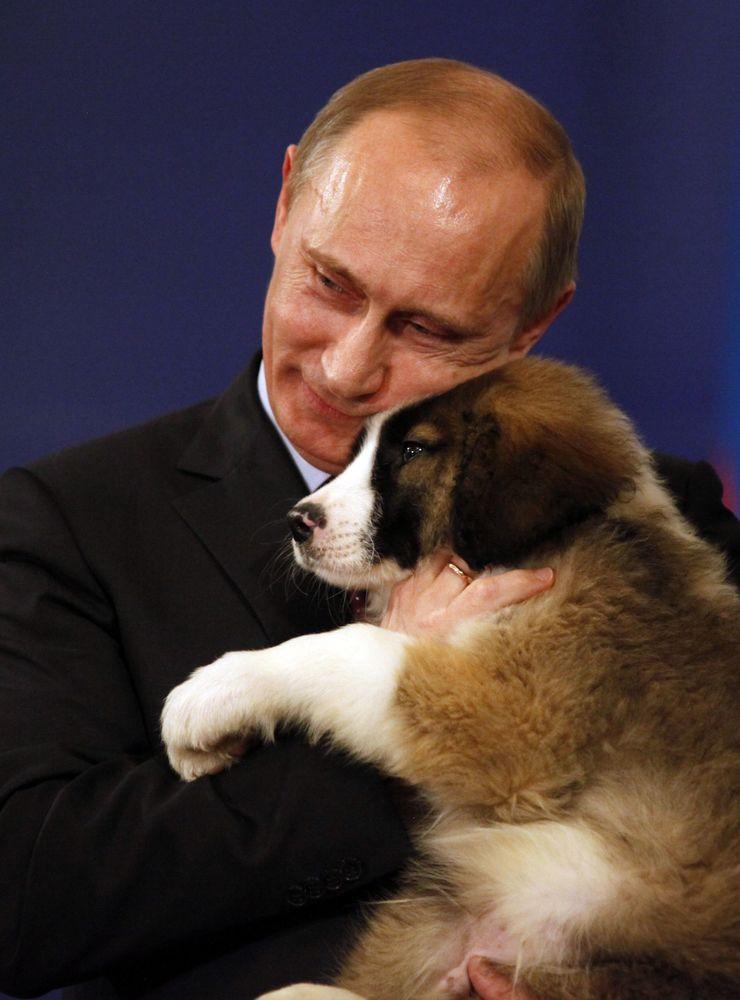 Vladimir Putin gosar med en hundvalp. En gåva från Bulgariens premiärminister Boiko Borissov. Att posera med gulliga djur menar Nicklas Håkansson är ett sätt att visa att man inte bara är stark och handlingskraftig, men också mjuk och förstående ledare.