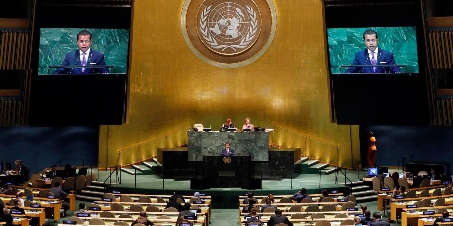 FN:s generalförsamling röstar om Hamas ska fördömas.