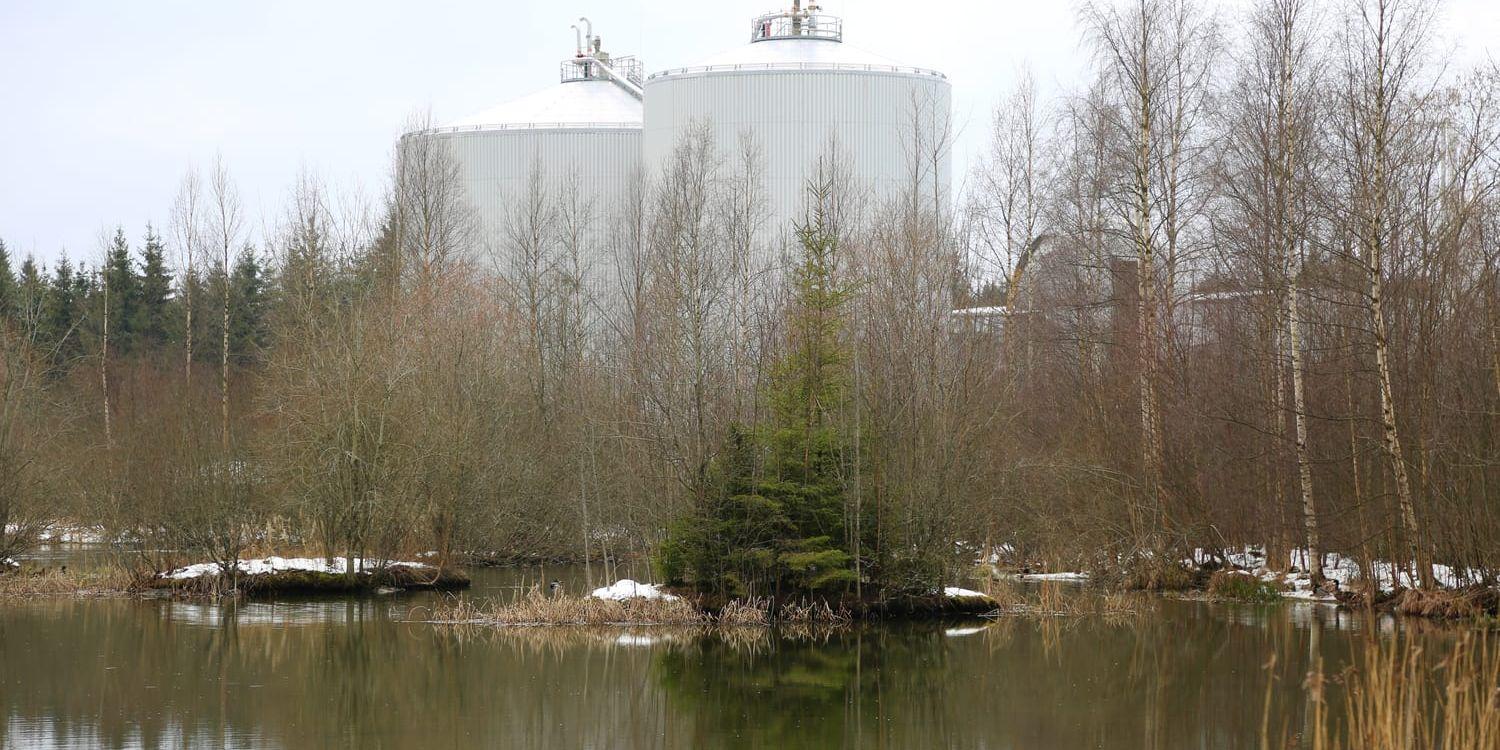 Hybris. Göteborg Energis biogasanläggning i Sävsjö syns mellan träden.