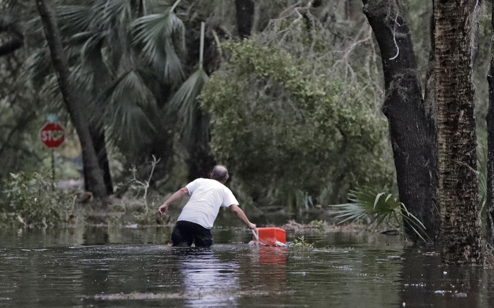 En boende i St. Marks, Florida, räddar sin kylväska undan vattenmassorna.